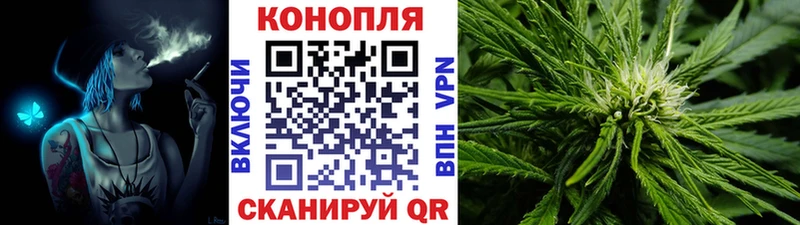 Бошки Шишки Amnesia Верхний Тагил