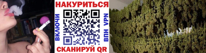 Купить закладки  Верхний Тагил  Бошки марихуана план 